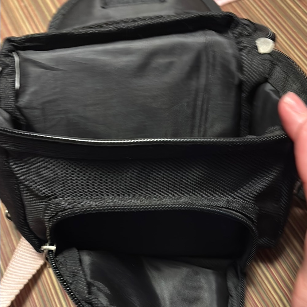 Nintendo Ds carrying bag